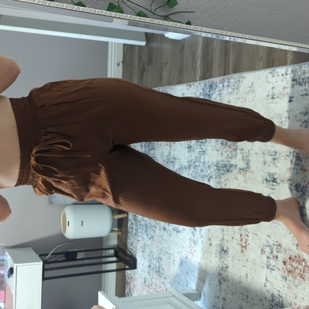 Brown/Rust Jogger Pants. Snug Electric Waistband With Drawstring. Never Worn
